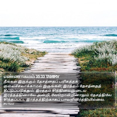 எண்ணாகமம் 35:33 TAMIRV Bible Verse Image