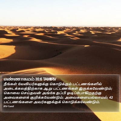 எண்ணாகமம் 35:6 TAMIRV Bible Verse Image