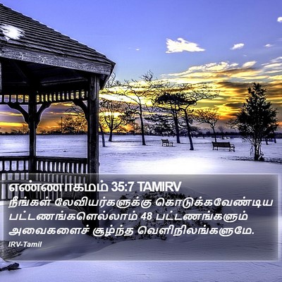 எண்ணாகமம் 35:7 TAMIRV Bible Verse Image