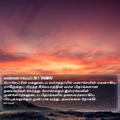 எண்ணாகமம் 36:1 TAMIRV Bible Verse Image