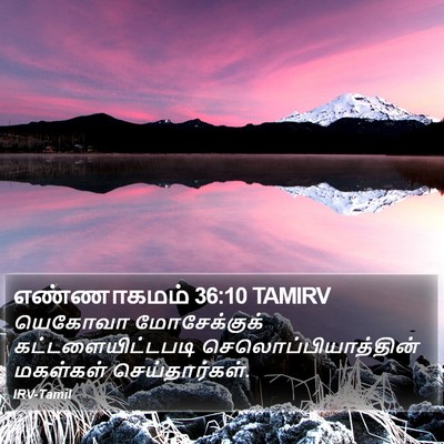 எண்ணாகமம் 36:10 TAMIRV Bible Verse Image