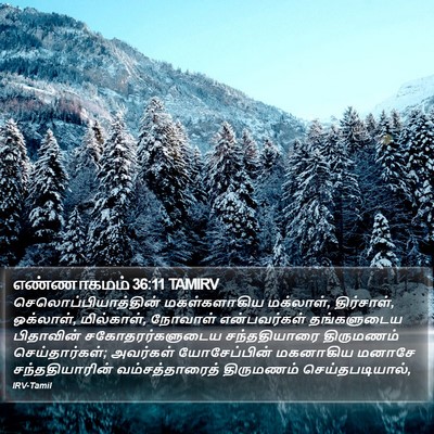 எண்ணாகமம் 36:11 TAMIRV Bible Verse Image