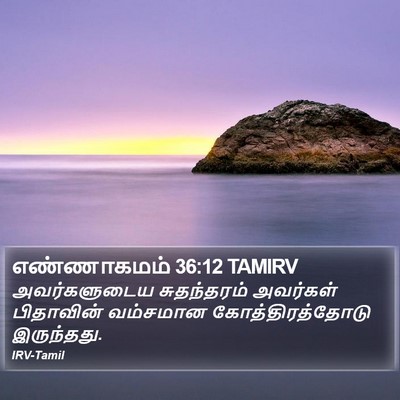 எண்ணாகமம் 36:12 TAMIRV Bible Verse Image