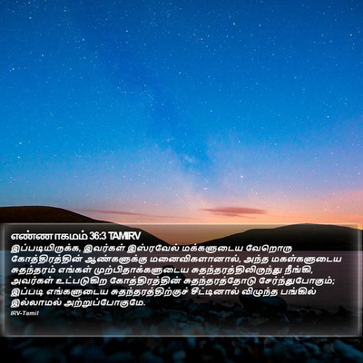 எண்ணாகமம் 36:3 TAMIRV Bible Verse Image