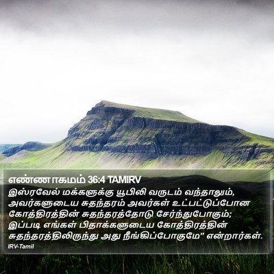 எண்ணாகமம் 36:4 TAMIRV Bible Verse Image