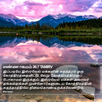 எண்ணாகமம் 36:7 TAMIRV Bible Verse Image