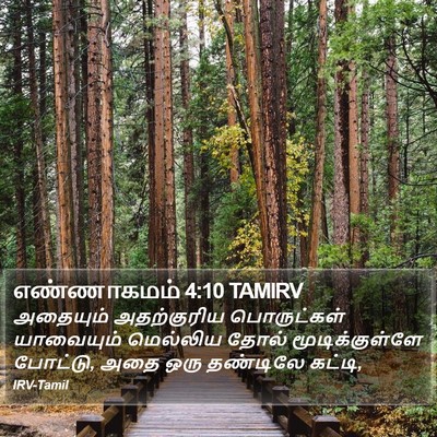 எண்ணாகமம் 4:10 TAMIRV Bible Verse Image