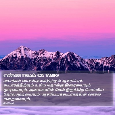 எண்ணாகமம் 4:25 TAMIRV Bible Verse Image