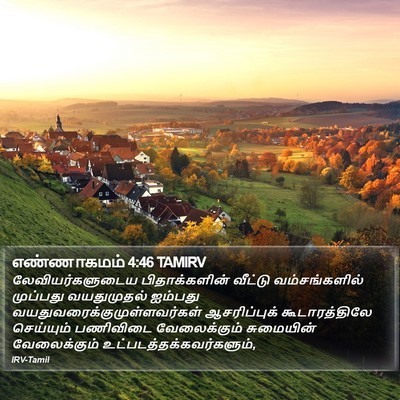எண்ணாகமம் 4:46 TAMIRV Bible Verse Image