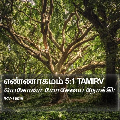 எண்ணாகமம் 5:1 TAMIRV Bible Verse Image