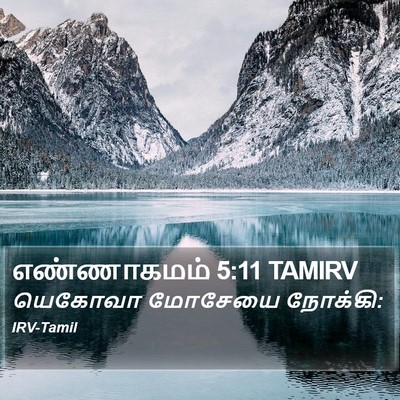 எண்ணாகமம் 5:11 TAMIRV Bible Verse Image