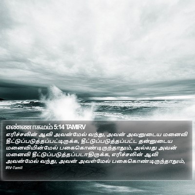 எண்ணாகமம் 5:14 TAMIRV Bible Verse Image