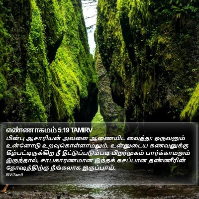 எண்ணாகமம் 5:19 TAMIRV Bible Verse Image
