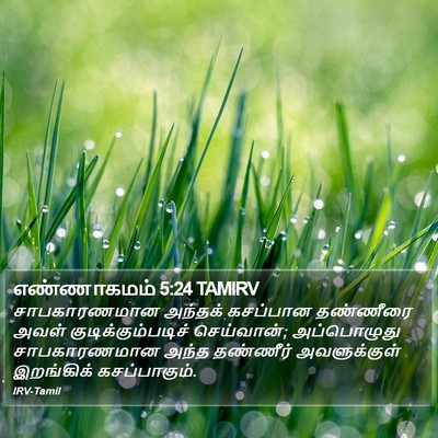 எண்ணாகமம் 5:24 TAMIRV Bible Verse Image