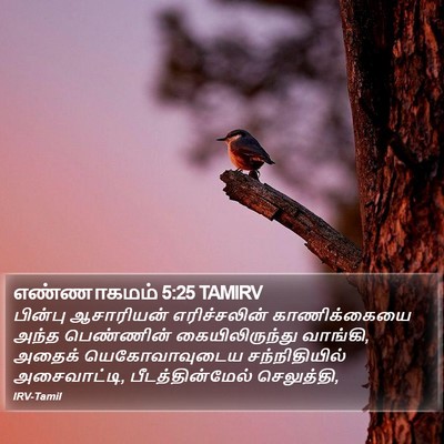 எண்ணாகமம் 5:25 TAMIRV Bible Verse Image