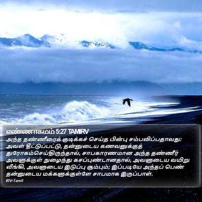 எண்ணாகமம் 5:27 TAMIRV Bible Verse Image