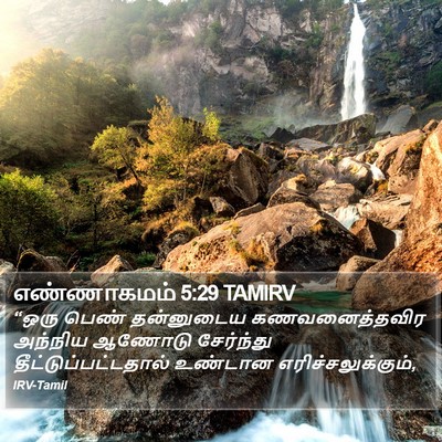 எண்ணாகமம் 5:29 TAMIRV Bible Verse Image