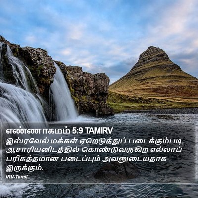 எண்ணாகமம் 5:9 TAMIRV Bible Verse Image