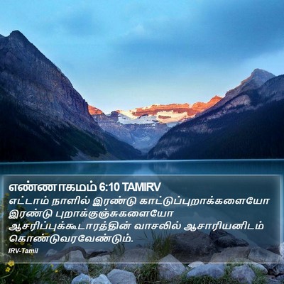 எண்ணாகமம் 6:10 TAMIRV Bible Verse Image