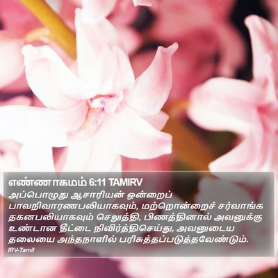 எண்ணாகமம் 6:11 TAMIRV Bible Verse Image