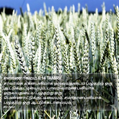 எண்ணாகமம் 6:14 TAMIRV Bible Verse Image