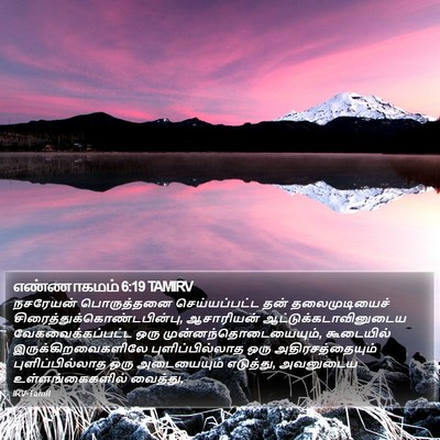 எண்ணாகமம் 6:19 TAMIRV Bible Verse Image