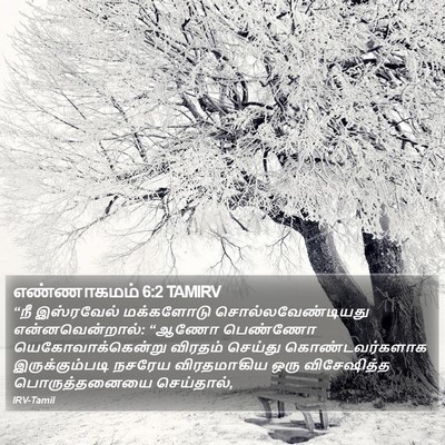 எண்ணாகமம் 6:2 TAMIRV Bible Verse Image