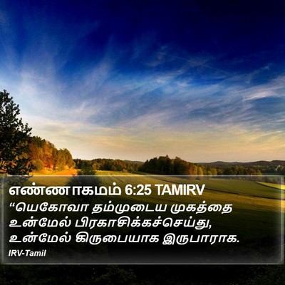 எண்ணாகமம் 6:25 TAMIRV Bible Verse Image