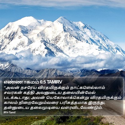 எண்ணாகமம் 6:5 TAMIRV Bible Verse Image