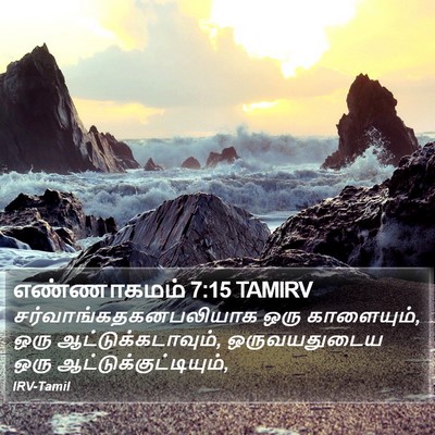 எண்ணாகமம் 7:15 TAMIRV Bible Verse Image