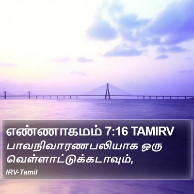 எண்ணாகமம் 7:16 TAMIRV Bible Verse Image