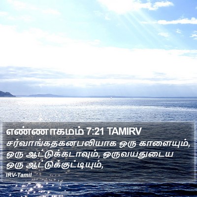 எண்ணாகமம் 7:21 TAMIRV Bible Verse Image