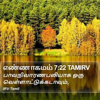 எண்ணாகமம் 7:22 TAMIRV Bible Verse Image