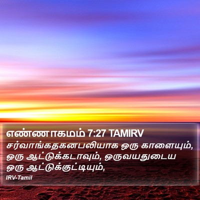 எண்ணாகமம் 7:27 TAMIRV Bible Verse Image
