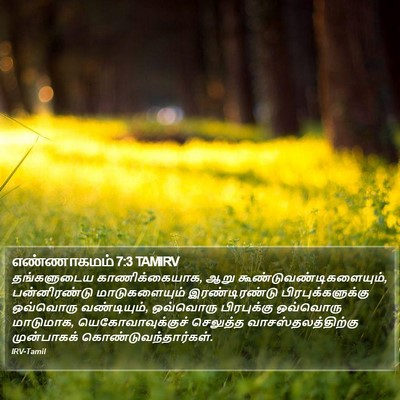 எண்ணாகமம் 7:3 TAMIRV Bible Verse Image