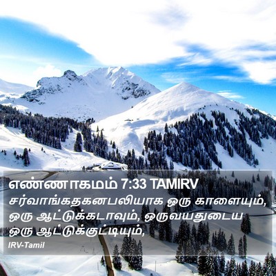 எண்ணாகமம் 7:33 TAMIRV Bible Verse Image