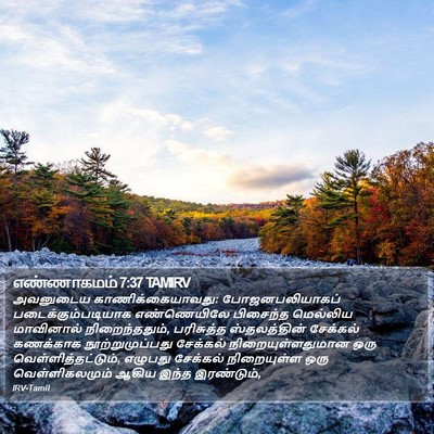 எண்ணாகமம் 7:37 TAMIRV Bible Verse Image