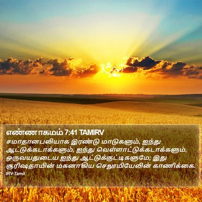 எண்ணாகமம் 7:41 TAMIRV Bible Verse Image