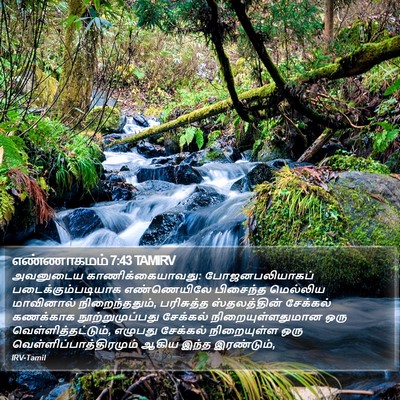 எண்ணாகமம் 7:43 TAMIRV Bible Verse Image
