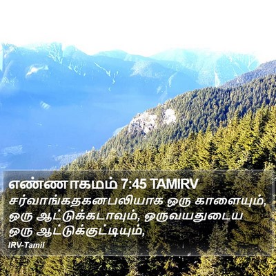 எண்ணாகமம் 7:45 TAMIRV Bible Verse Image