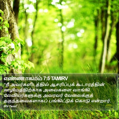 எண்ணாகமம் 7:5 TAMIRV Bible Verse Image