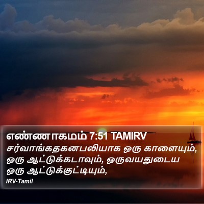 எண்ணாகமம் 7:51 TAMIRV Bible Verse Image