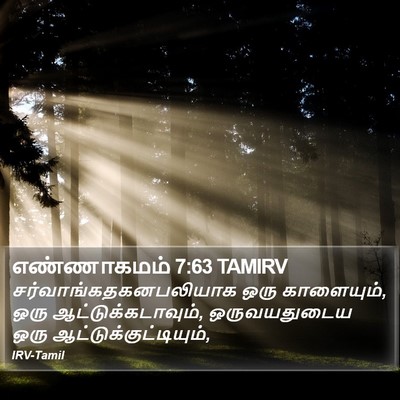 எண்ணாகமம் 7:63 TAMIRV Bible Verse Image