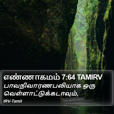 எண்ணாகமம் 7:64 TAMIRV Bible Verse Image