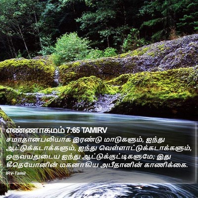 எண்ணாகமம் 7:65 TAMIRV Bible Verse Image