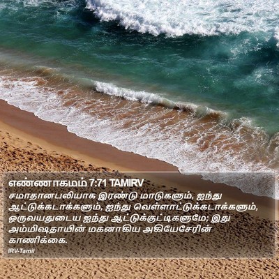 எண்ணாகமம் 7:71 TAMIRV Bible Verse Image