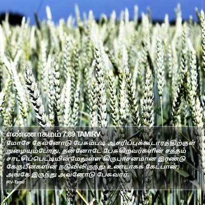 எண்ணாகமம் 7:89 TAMIRV Bible Verse Image