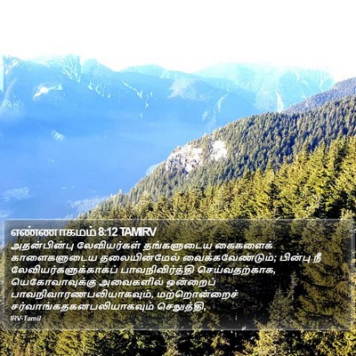 எண்ணாகமம் 8:12 TAMIRV Bible Verse Image