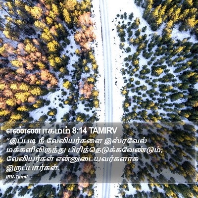 எண்ணாகமம் 8:14 TAMIRV Bible Verse Image