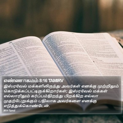 எண்ணாகமம் 8:16 TAMIRV Bible Verse Image